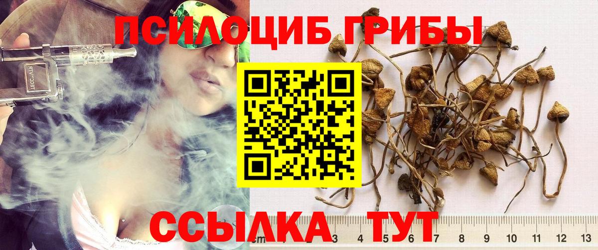 купить наркоту  Галлюциногенные грибы MAGIC MUSHROOMS  Кашира  Вход с VPN  Галлюциногенные грибы Cubensis 